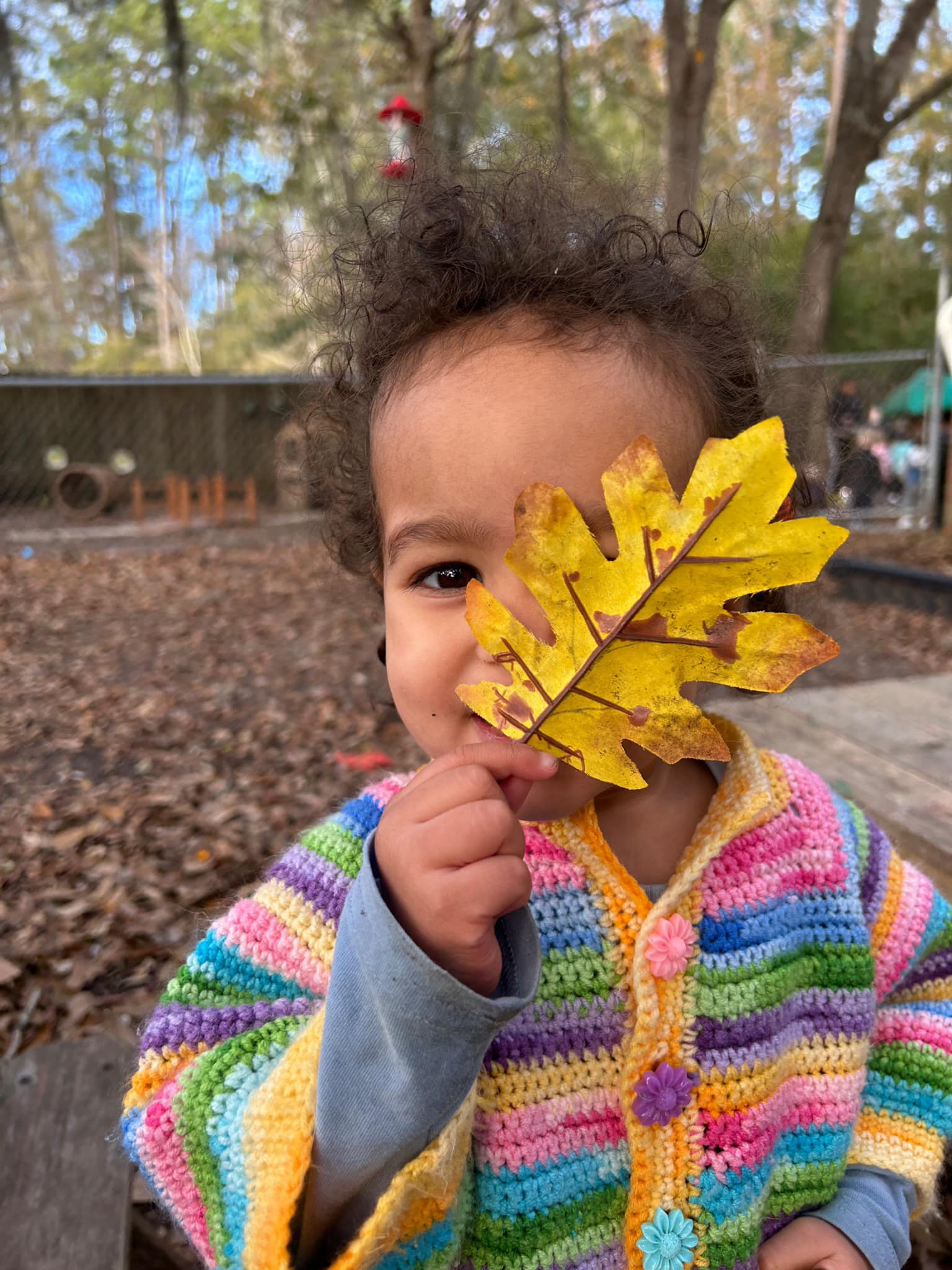young child holding a yellow autumn leaf in front of face
